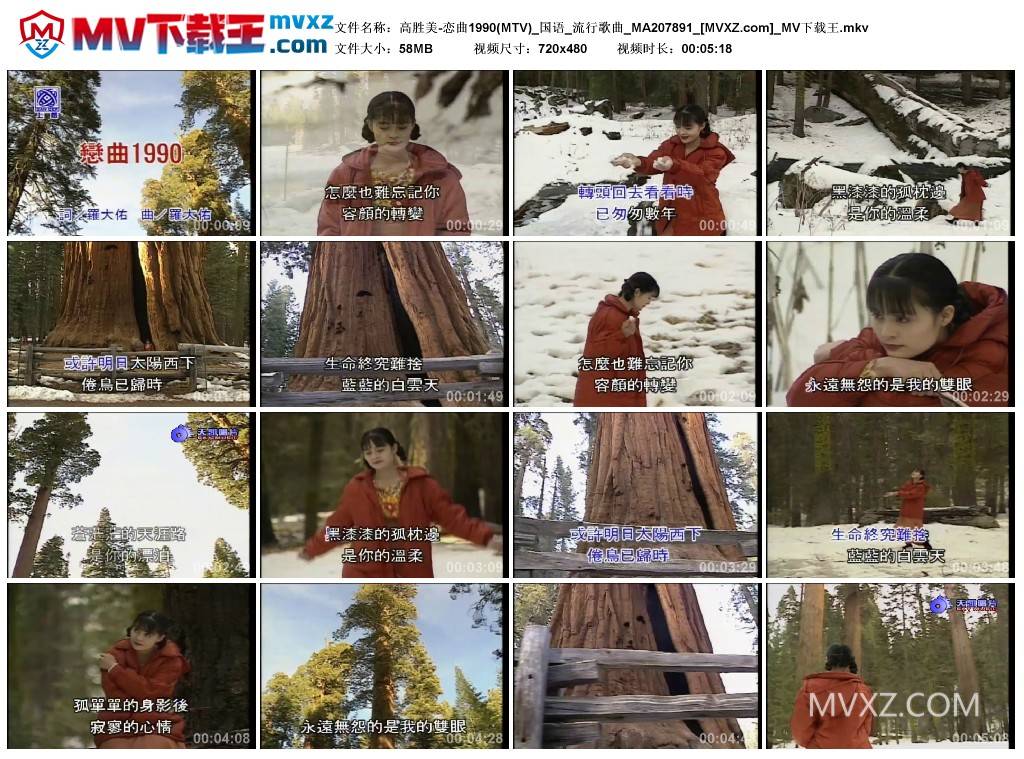 高胜美-恋曲1990(MTV)_国语_流行歌曲_MA207891